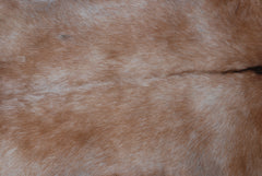 Luxury Brown and White Goat Hide Rug with Unique Patterns | Premium Hair-On Goat Skin Rug for Home Decor