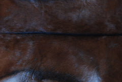 Luxury Brown & White Goat Hide Rug - Premium Natural Hair-on Goat Skin - Handcrafted Eco-Friendly Home Decor - Unique Patterns - Non-Slip - Celestial Leather Limited