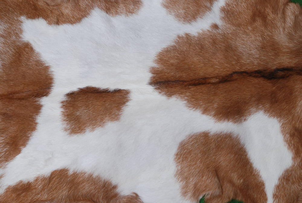 Luxurious Brown White Goat Skin Rug - Soft, Durable & Eco-Friendly - Perfect for Kids - Pets - Hypoallergenic - Non-Slip Suede Back - Celestial Leather Limited
