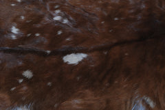 Luxury Handmade Multicolor Goat Skin Rug - Soft, Durable, Eco-Friendly & Hypoallergenic - Unique Rustic Charm for Your Home - Celestial Leather Limited