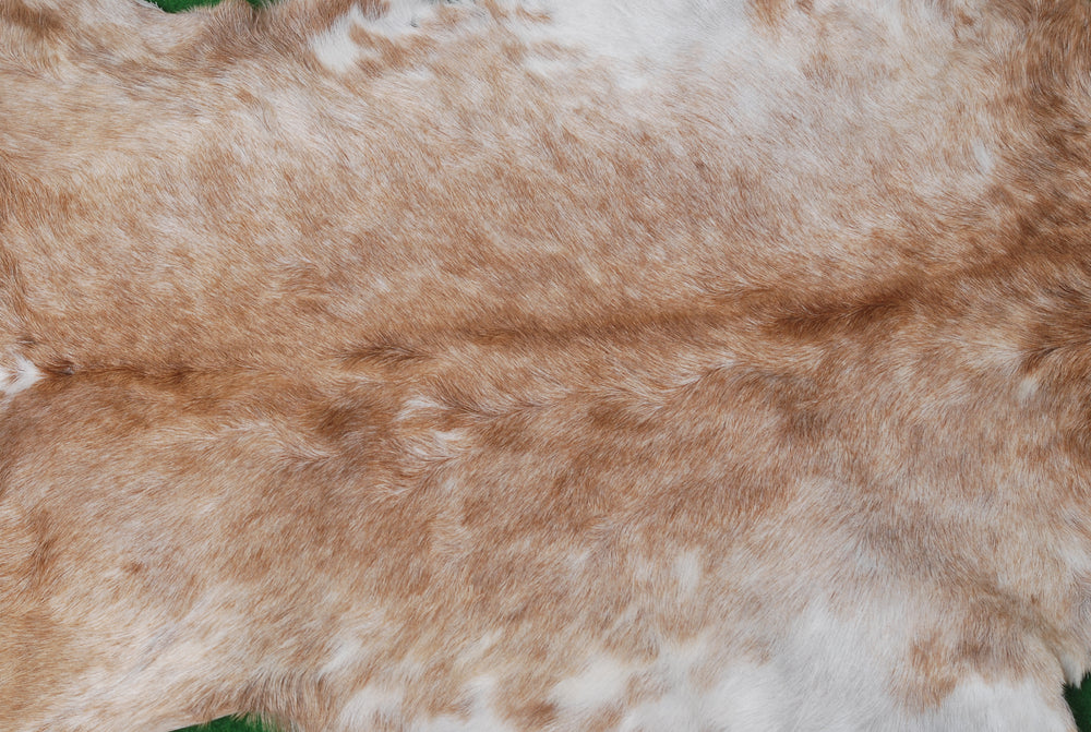 Luxury Brown & White Goat Skin Rug - Premium Quality Handcrafted Natural Goat Hide Rug for Home Decor - Celestial Leather Limited