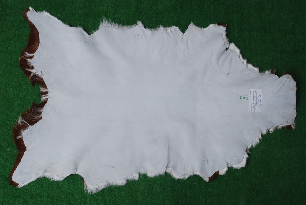 Goat Skin Rug: Brown and white genuine Goat hide rug - Celestial Leather Limited