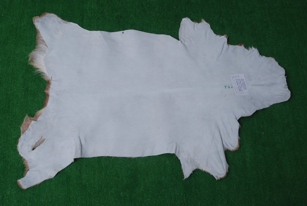 Luxury Brown & White Goat Hide Rug with Natural Variations | Premium Hair-on Goat Skin Rug for Home Décor - Celestial Leather Limited