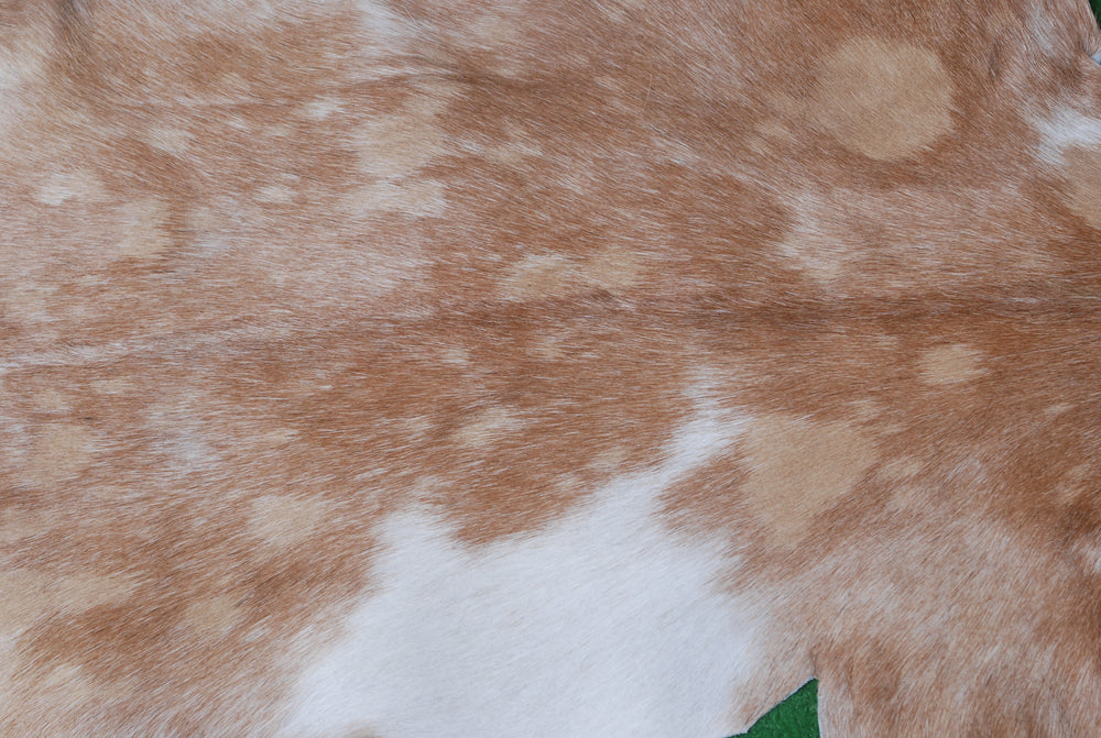 Luxury Brown & White Goat Hide Rug with Natural Variations | Premium Hair-on Goat Skin Rug for Home Décor - Celestial Leather Limited