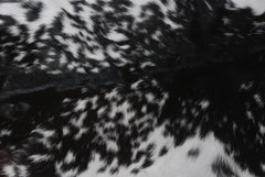 Modern Sophistication: Genuine Black and White Goat Skin Throw Rug for Home Decor - Non-Slippery Back, Hypoallergenic, and Unique Natural