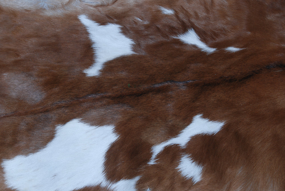 Luxury Handmade Brown & White Goat Skin Rug - Natural Soft Sustainable Floor Rug with Non-Slip Back - Unique Eco-Friendly Home Décor - Celestial Leather Limited