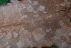 Celestial Tan Skin Rug - Soft, Durable, and Eco-Friendly - Handmade Pure Goat Skin Floor Rug - Non-Slip Suede Back