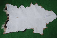 Goat Skin Rug: Tri-Color genuine Goat hide rug