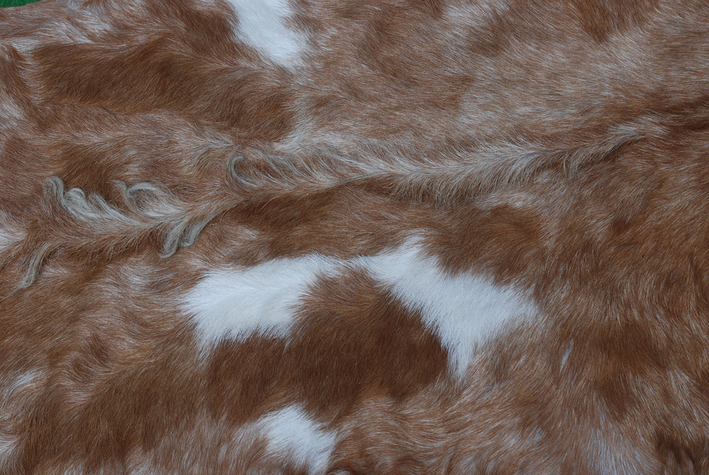 Luxurious Brown and White Natural Goat Skin Rug with Non-Slip Suede Back - Handcrafted Premium Hair-On Goat Hide Rug for Home Decor - Celestial Leather Limited