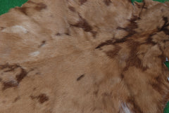 Natural Tri-Color Goat Hide Rug - Luxurious Accent for Rustic and Modern Spaces