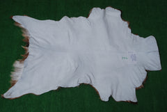 Goat Skin Rug: Tri-Color genuine Goat hide rug