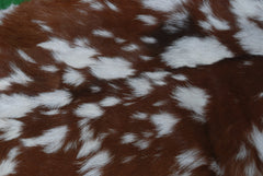 Natural Hair-On Dark Brown Goat Skin Rug - Elegant and Durable for Any Room