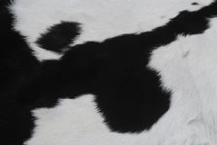 Goat Skin Rug, Black and white Handpicked for Quality, Unique Piece for Sale, Fast UK Delivery
