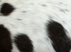 Luxurious Genuine Leather Cowhide Cushion Cover - Stylish Home Décor Accent made from Eco-Friendly Materials with Hidden Zipper