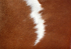 Luxurious Handmade Brown & White Cowhide Throw Pillow Cover with Hidden Zipper - Unique Home Decor Accent for All Styles