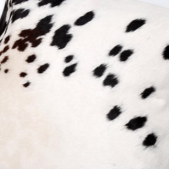 Luxury Brown & White Cowhide Cushion Cover with Animal Print - Handmade Rustic Elegance for Home Décor