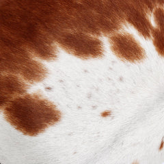 Rustic Elegance: Handmade Brown and White Cowhide Throw Pillow Cover