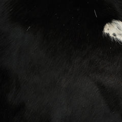 Luxurious Brown & White Cowhide Cushion Cover with Animal Print - Handmade Square Cover for Sofas, Armchairs, Beds - Rustic Elegance