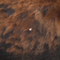 Luxurious Small Cowhide Rug - Dark Brown & White Animal Print with Non-Slip Suede Back - Hypoallergenic - Non-Shedding - Handcrafted Premium