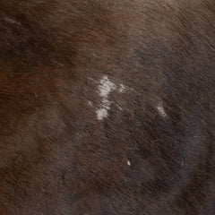 Luxurious Small Animal Print Cowhide Rug - Hypoallergenic, Non-Slip Back, Non-Shedding - Handcrafted Premium Hide - Free Shipping in the UK