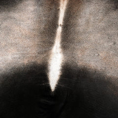 Luxury Dark Brown and White Cow Hide Rug - Medium Size, Hypoallergenic, Non-Shedding, Handcrafted, Durable, Unique Natural Beauty