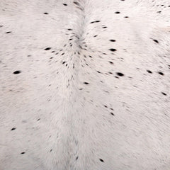 Luxurious Brown & White Cowhide Rug | Large Size | Hypoallergenic - Non-Slip Back | Unique Animal Pattern | Free Shipping