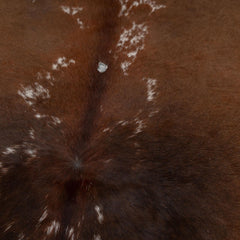 Luxurious Brown & White Cowhide Rug | Large Size for Elegant Home Decor - Hypoallergenic, Non-Slip, Non-Shedding - Free Shipping across UK - Celestial Leather Limited