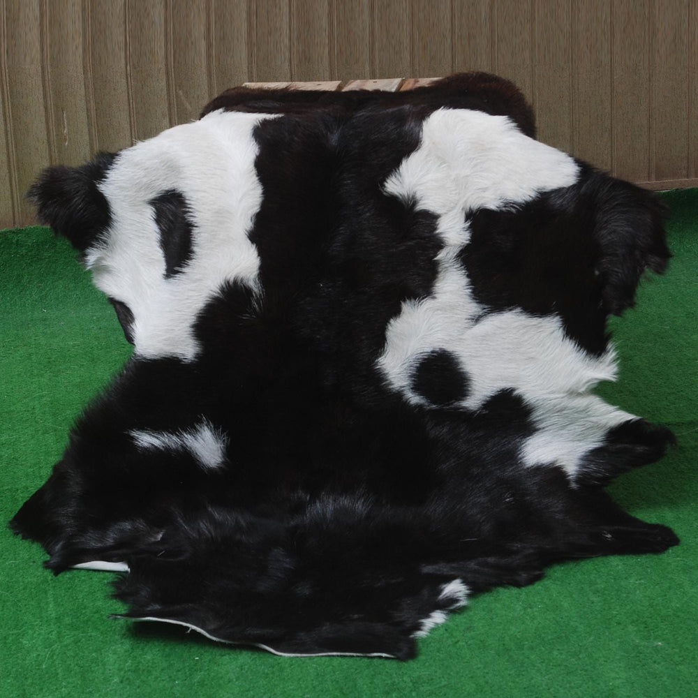 Goat Skin Rug, Goat skin rug ikea, Long Haired Goat Skin Rug, Goat skin rug amazon, Goat skin rug for sale, Best goat skin rug, Goat skin leather, Goat skin rug ikea review, Best goat rug, Fur Rug, Large goat rug ikea, Goat rug ikea price, White goat skin rug ikea, Goat rug ikea, Goat rug amazon, Long Haired Goat Skin Rug, Goat rug for sale