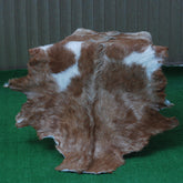 Luxurious Brown and White Natural Goat Skin Rug with Non-Slip Suede Back - Handcrafted Premium Hair-On Goat Hide Rug for Home Decor - Celestial Leather Limited