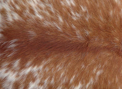 Cowhide Cushion Cover, Leather pillow cover, Rustic home decor accessories, Western-style cushion covers, Cowhide home decor ideas, Eco-friendly leather cushions, Buy cowhide cushion covers, Shop cowhide throw pillows, Cowhide cushion covers on sale, Best cowhide pillow covers, Custom cowhide cushion covers