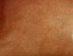 Luxurious Genuine Cowhide Cushion Cover with Unique Hair-on Leather - Stylish Home Decor Accent for Rustic Charm and Eco-Friendly Design