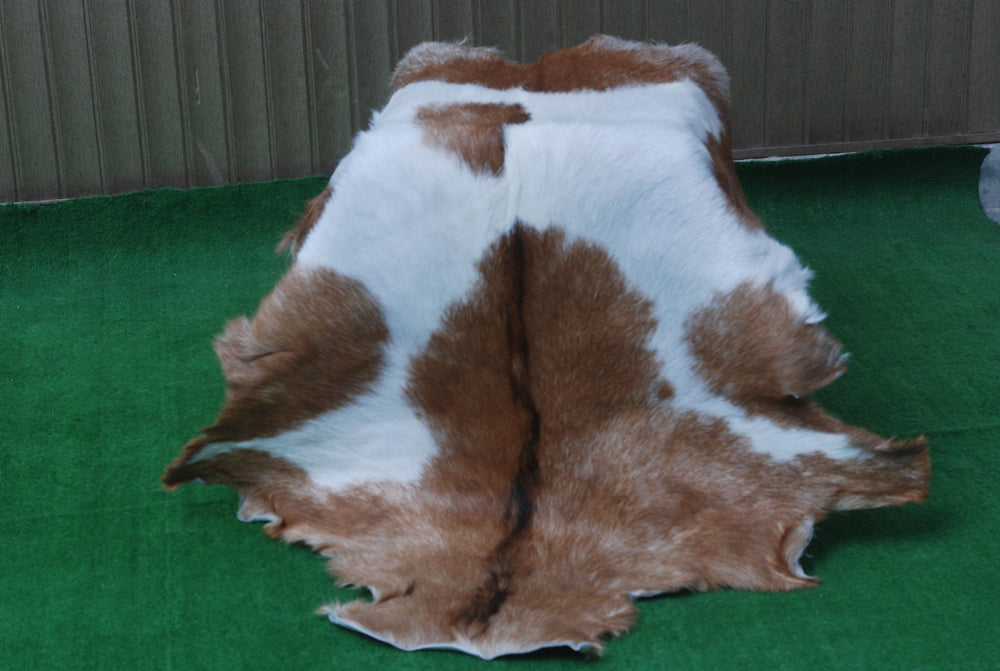 Luxurious Brown White Goat Skin Rug - Soft, Durable & Eco-Friendly - Perfect for Kids - Pets - Hypoallergenic - Non-Slip Suede Back - Celestial Leather Limited