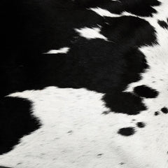 Luxury Handmade Brown & White Cowhide Cushion Cover with Animal Print - Faux Leather Back - Rustic Elegance for Home Décor - Celestial Leather Limited