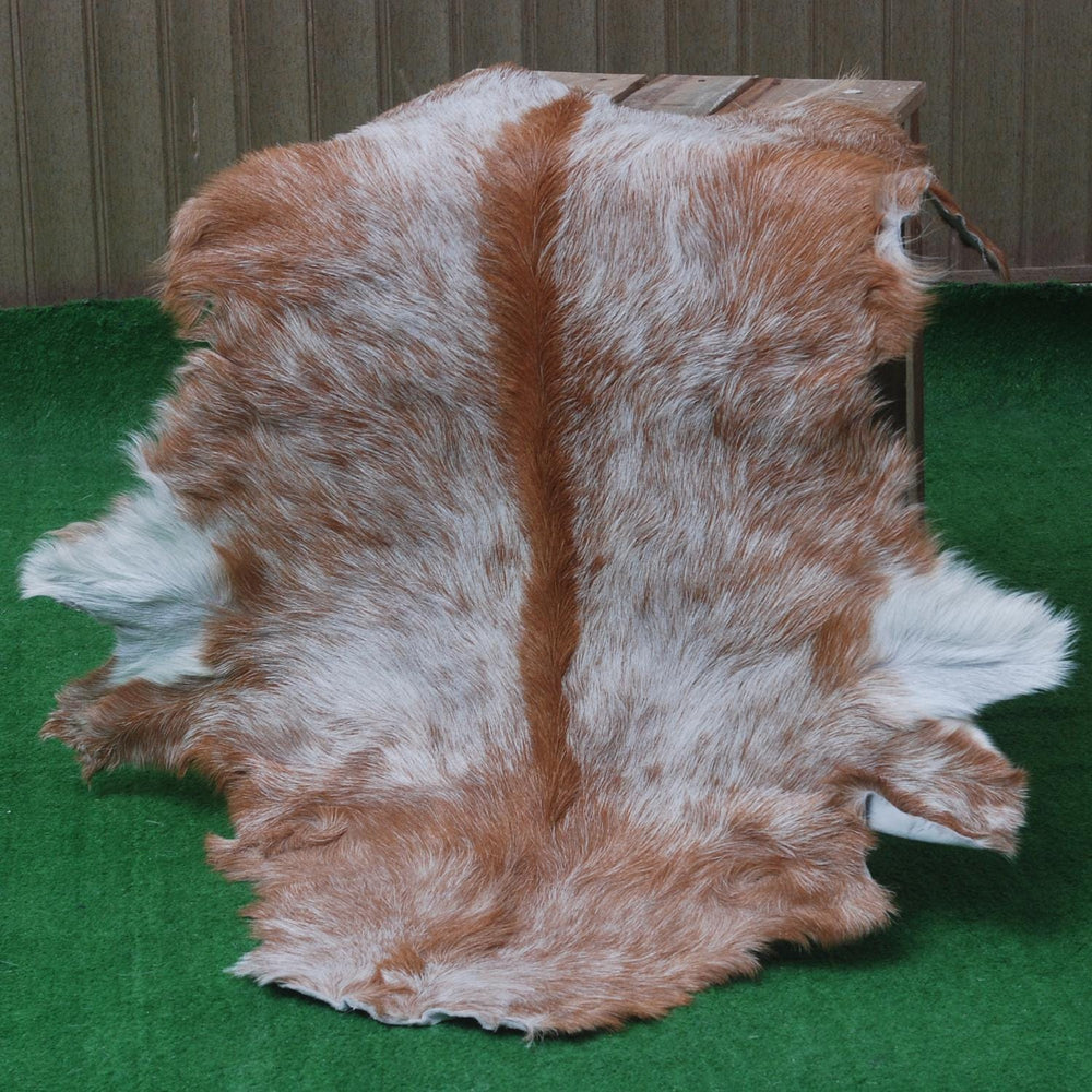 Luxurious Brown and White Goat Hide Rug - Premium Hair-on Goat Skin Rug - Handcrafted Elegance for Your Home - Eco-Friendly and Stylish - Celestial Leather Limited