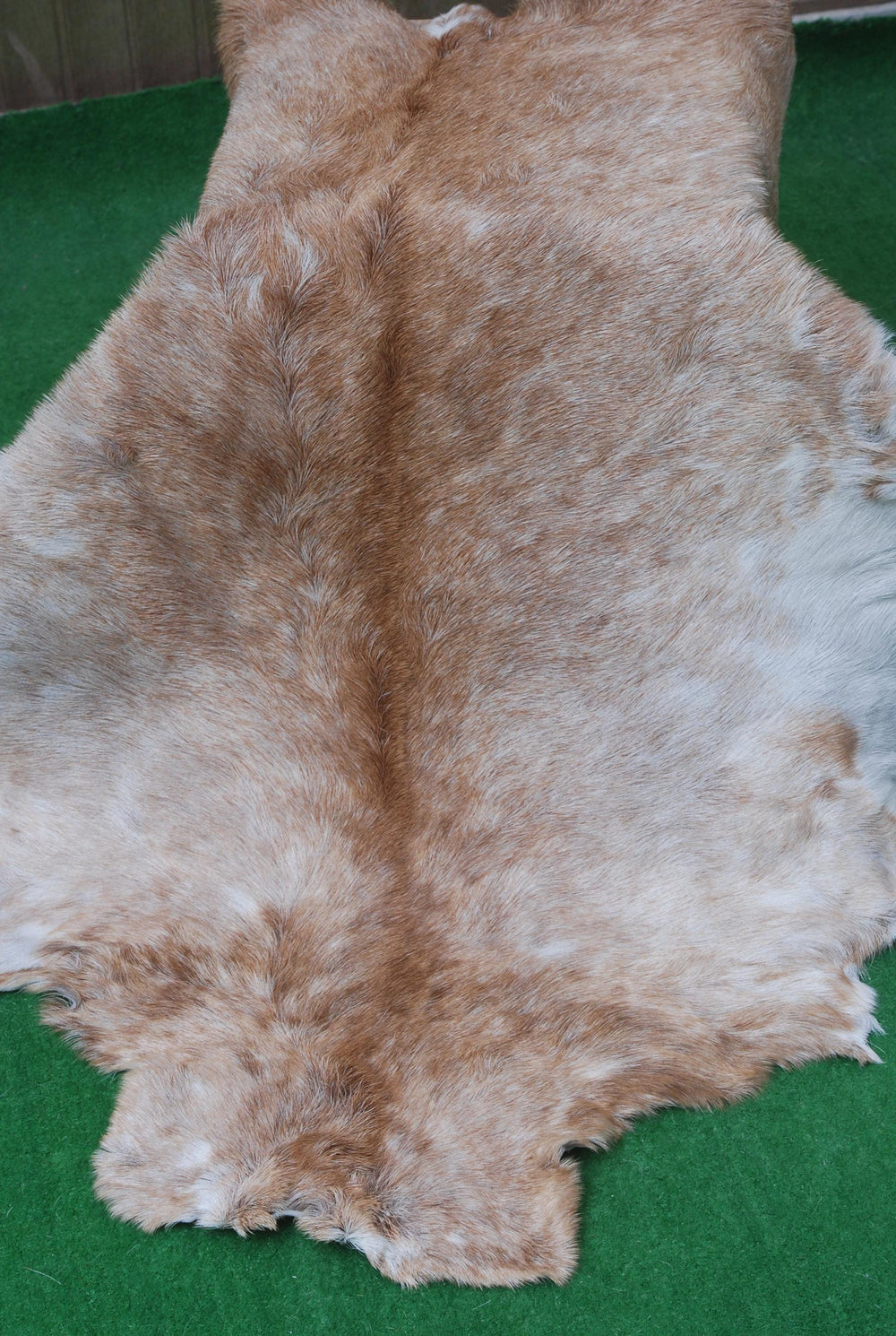 Luxury Brown & White Goat Skin Rug - Premium Quality Handcrafted Natural Goat Hide Rug for Home Decor - Celestial Leather Limited