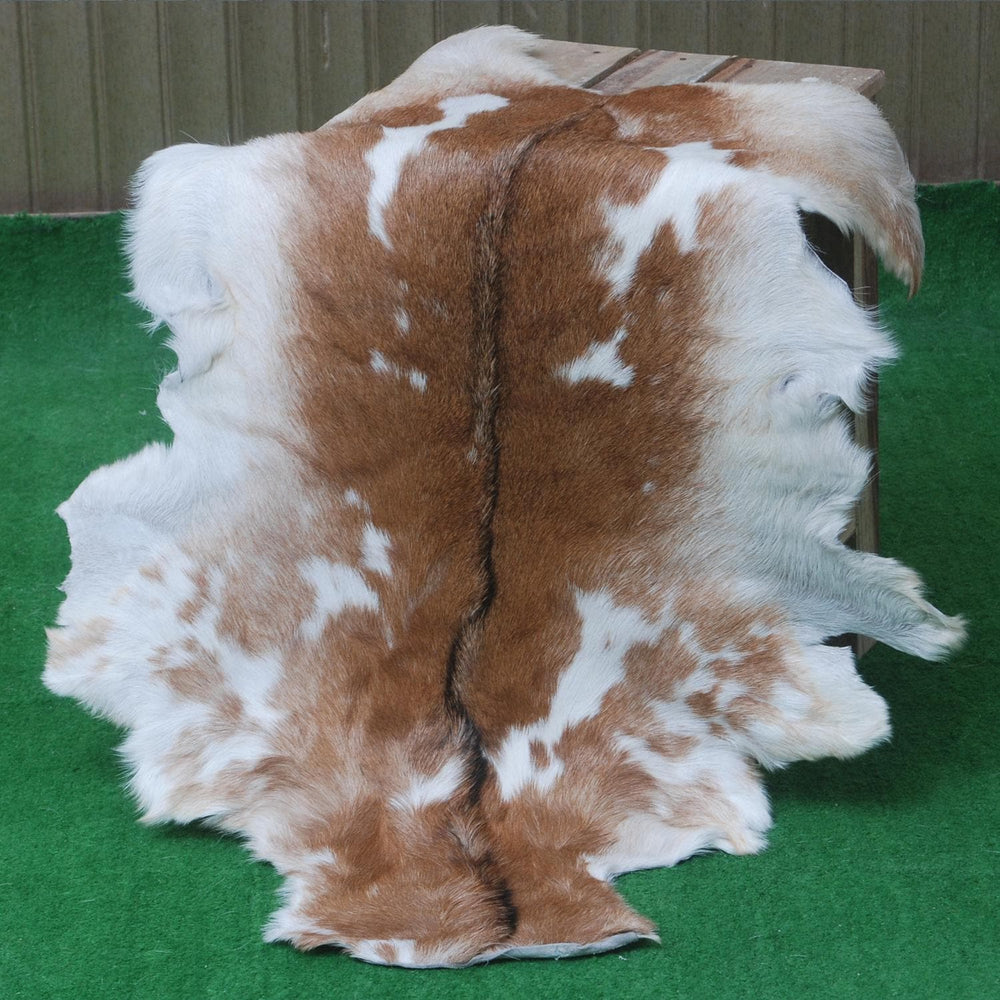 Luxury Brown & White Goat Skin Rug - Premium Handcrafted Hide Rug for Home Decor - Celestial Leather Limited