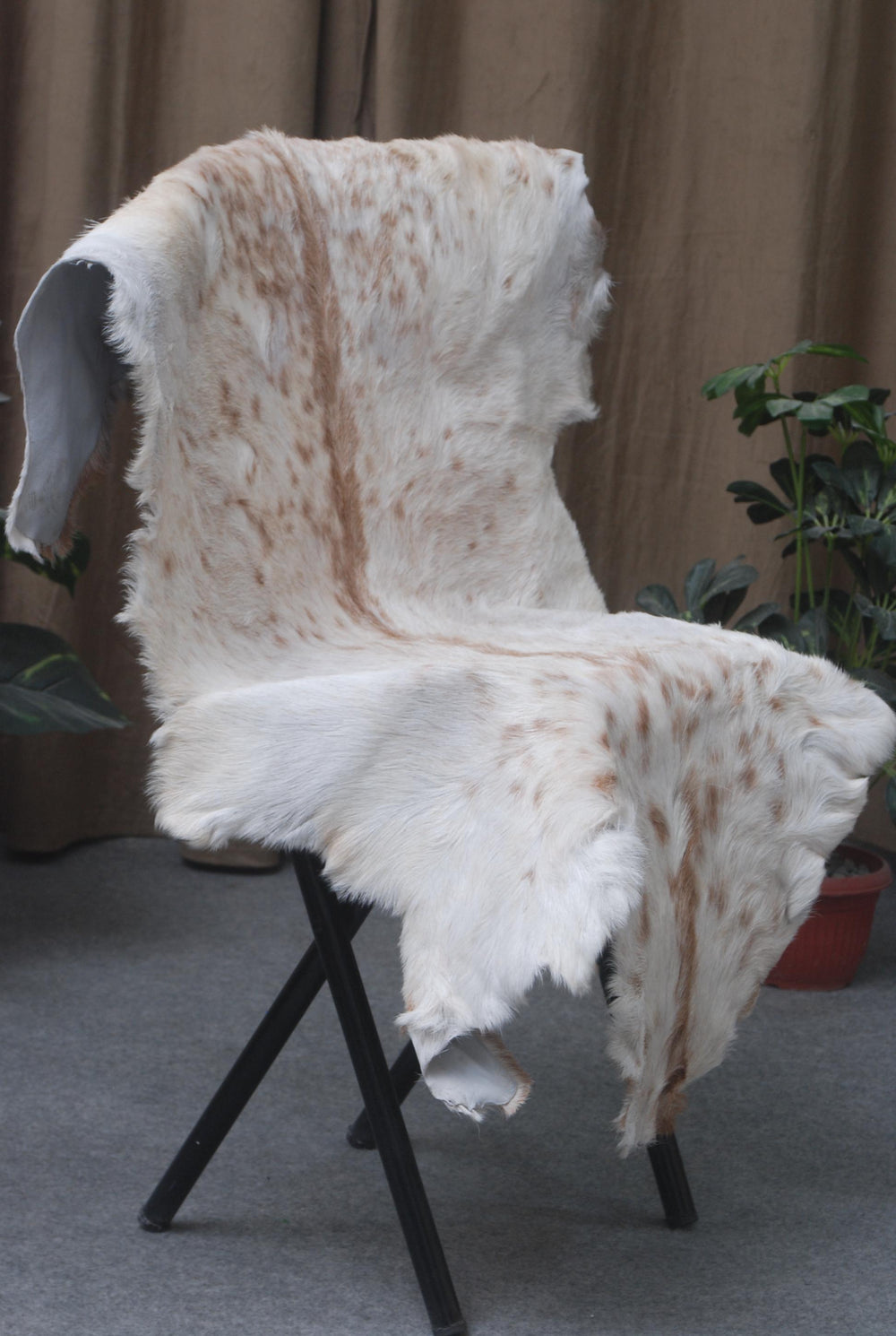 Luxurious Brown and White Genuine Goat Hide Rug - Premium Hair-on Skin Rug for Home Decor - Celestial Leather Limited