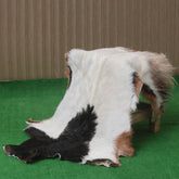 Luxury Multicolour Goat Skin Rug Handmade from 100% Pure Goat Skin | Soft, Durable, Hypoallergenic, Eco-Friendly | Unique Colour Variations,