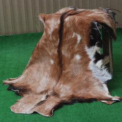 Luxurious Handmade Multicolour Goat Skin Rug - Soft, Kid & Pet Friendly, Hypoallergenic, Non-Shedding, Sustainable - Eco-Friendly
