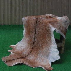 Luxurious Handpicked Brown & White Premium Goat Skin Rug - Eco-Friendly - Sustainable, Non-Slip Suede Back, Hypoallergenic - Timeless