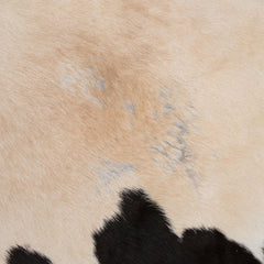Luxurious Brown and White Cowhide Rug for Elegant Home Décor - Hypoallergenic, Non-Slip, Non-Shedding - Free Shipping in the UK - Top