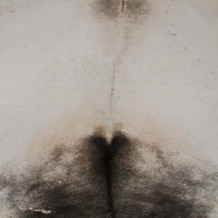 Luxurious Large Brown & White Cowhide Rug | Soft Hair Animal Pattern | Hypoallergenic, Non-Slip, Non-Shedding | Top Quality - Elegant Decor - Celestial Leather Limited