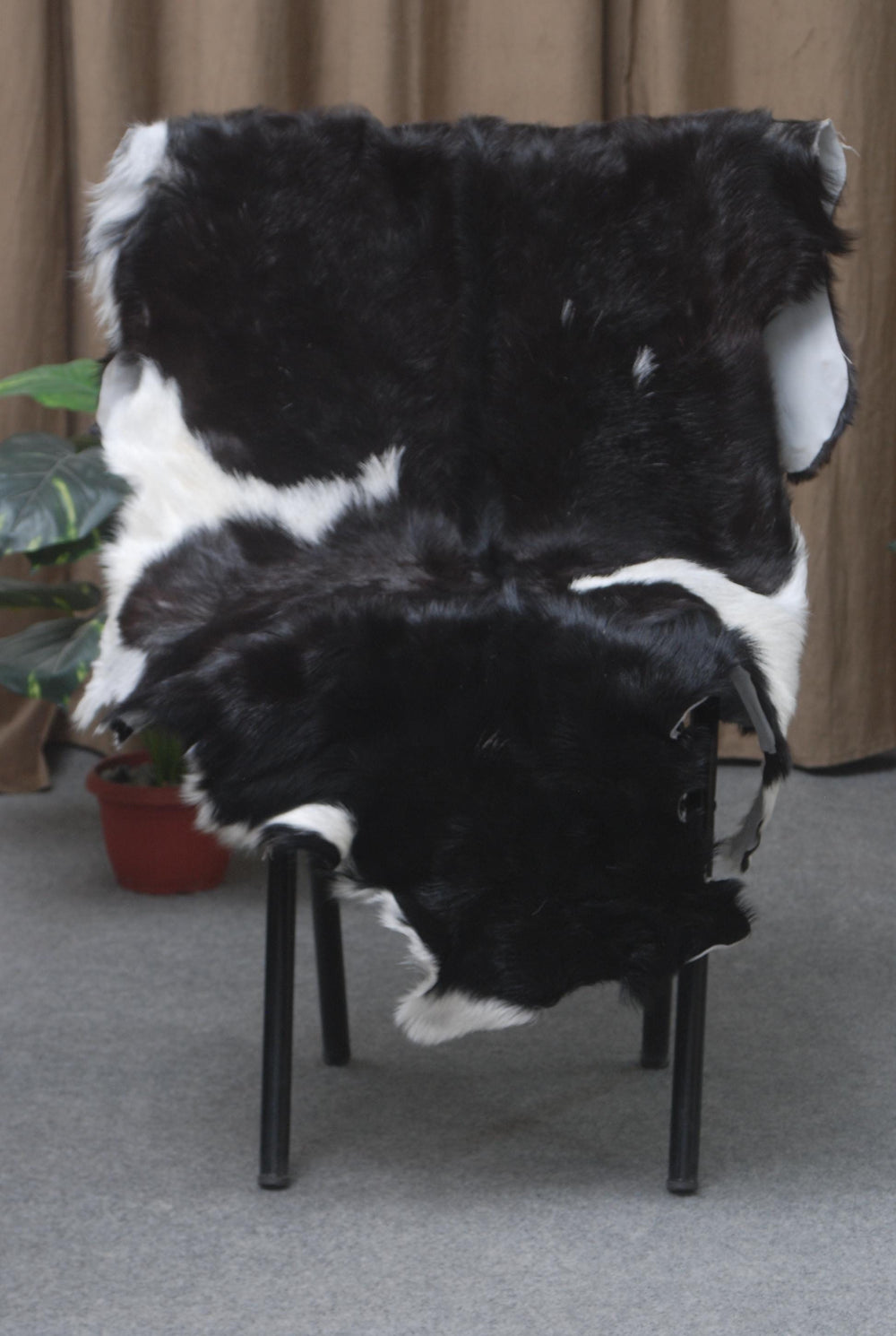 Goat Skin Rug, Goat skin rug ikea, Long Haired Goat Skin Rug, Goat skin rug amazon, Goat skin rug for sale, Best goat skin rug, Goat skin leather, Goat skin rug ikea review, Best goat rug, Fur Rug, Large goat rug ikea, Goat rug ikea price, White goat skin rug ikea, Goat rug ikea, Goat rug amazon, Long Haired Goat Skin Rug, Goat rug for sale