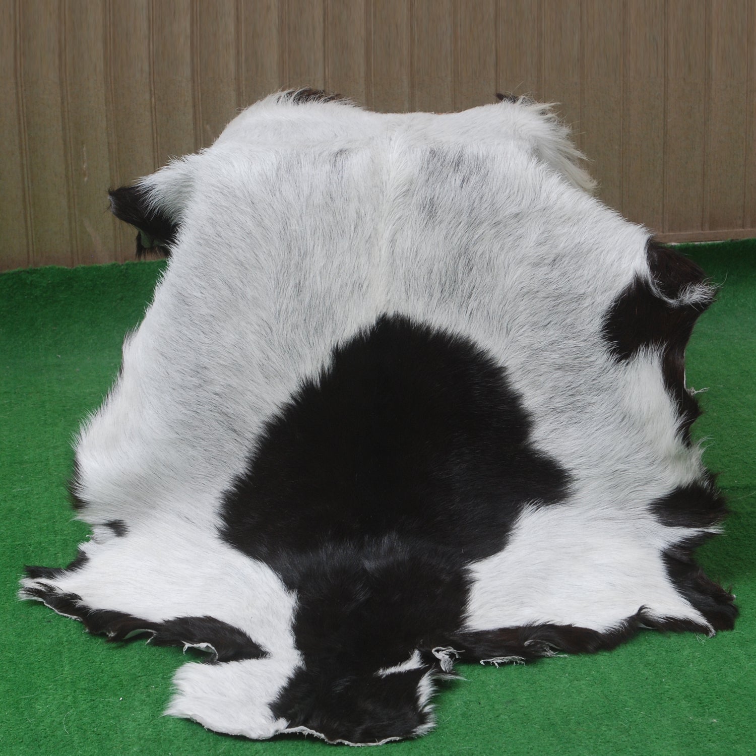 Goat Skin Rug, Handpicked for Quality, Unique Piece for Sale, Fast UK Delivery