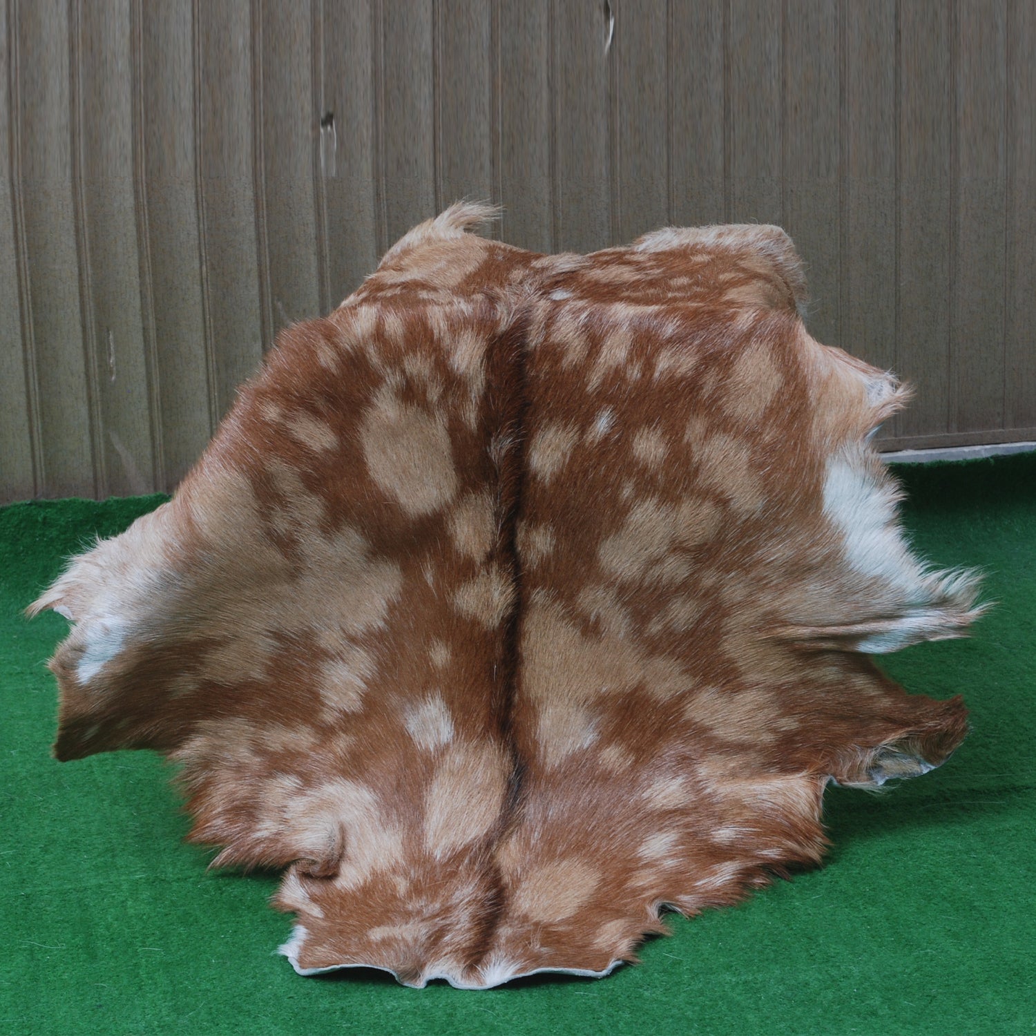 Premium Brown and White Goat Skin Rug - Genuine Hair-On Leather for Rustic Décor