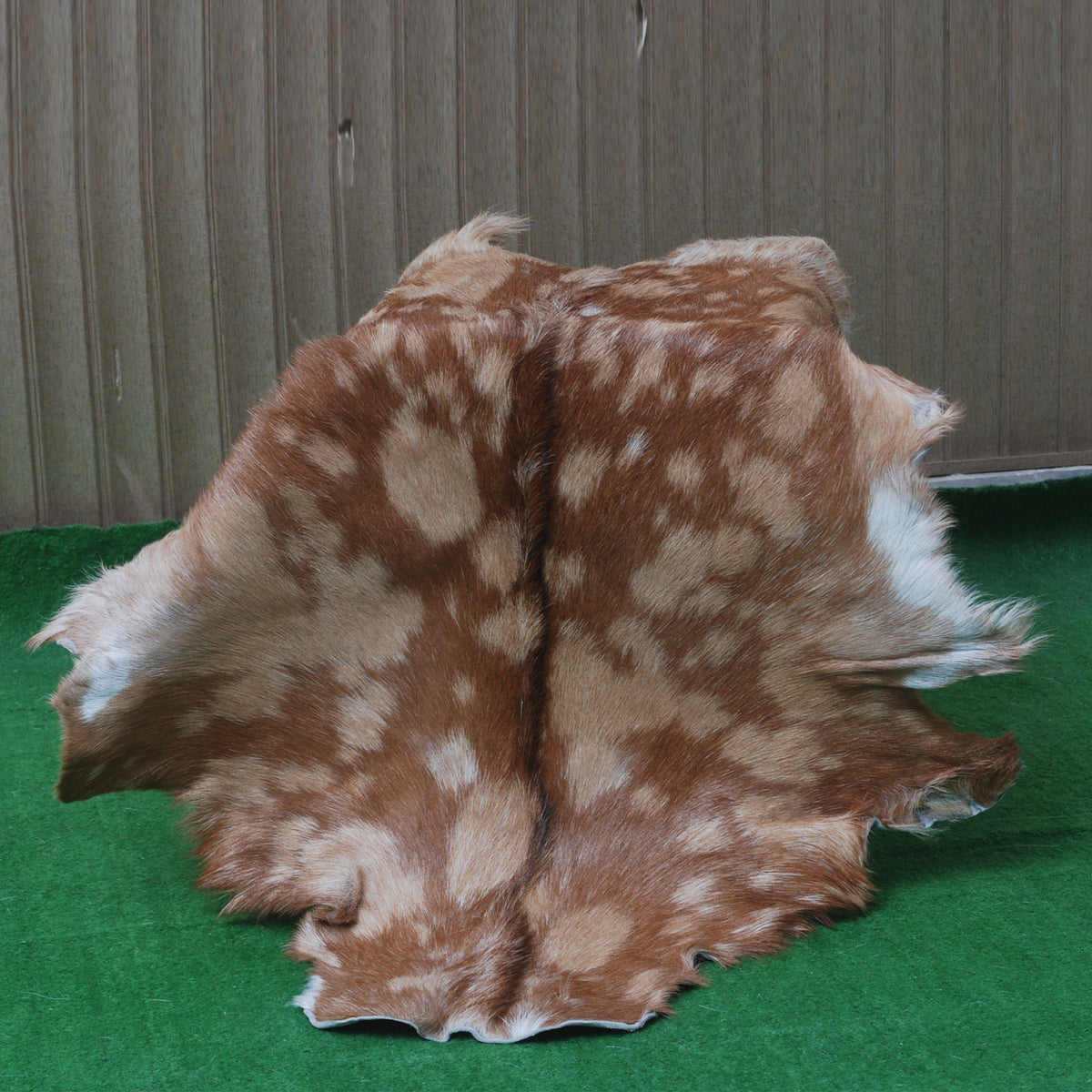 Premium Brown and White Goat Skin Rug - Genuine Hair-On Leather for Rustic Décor