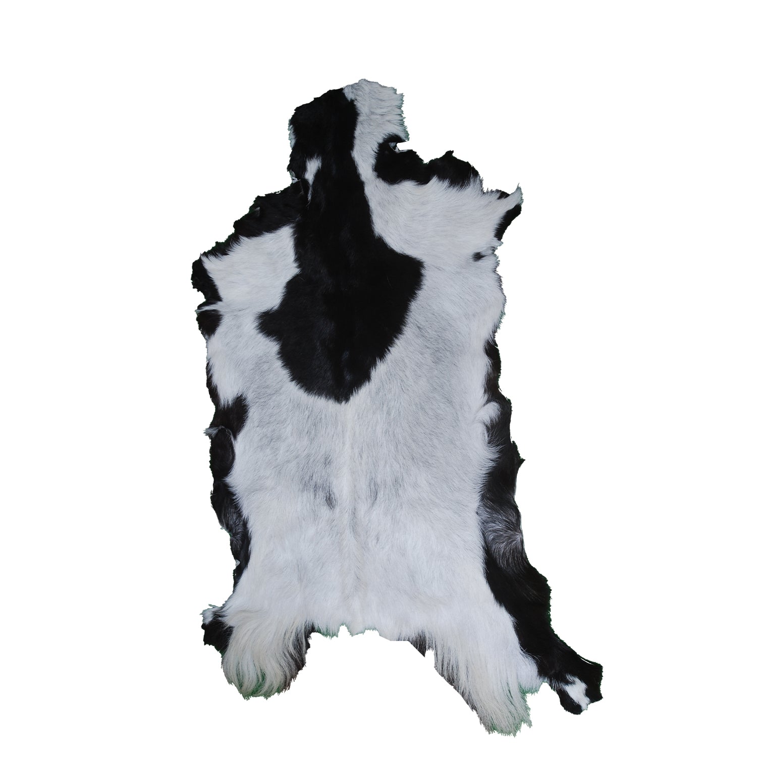 Goat Skin Rug, Handpicked for Quality, Unique Piece for Sale, Fast UK Delivery