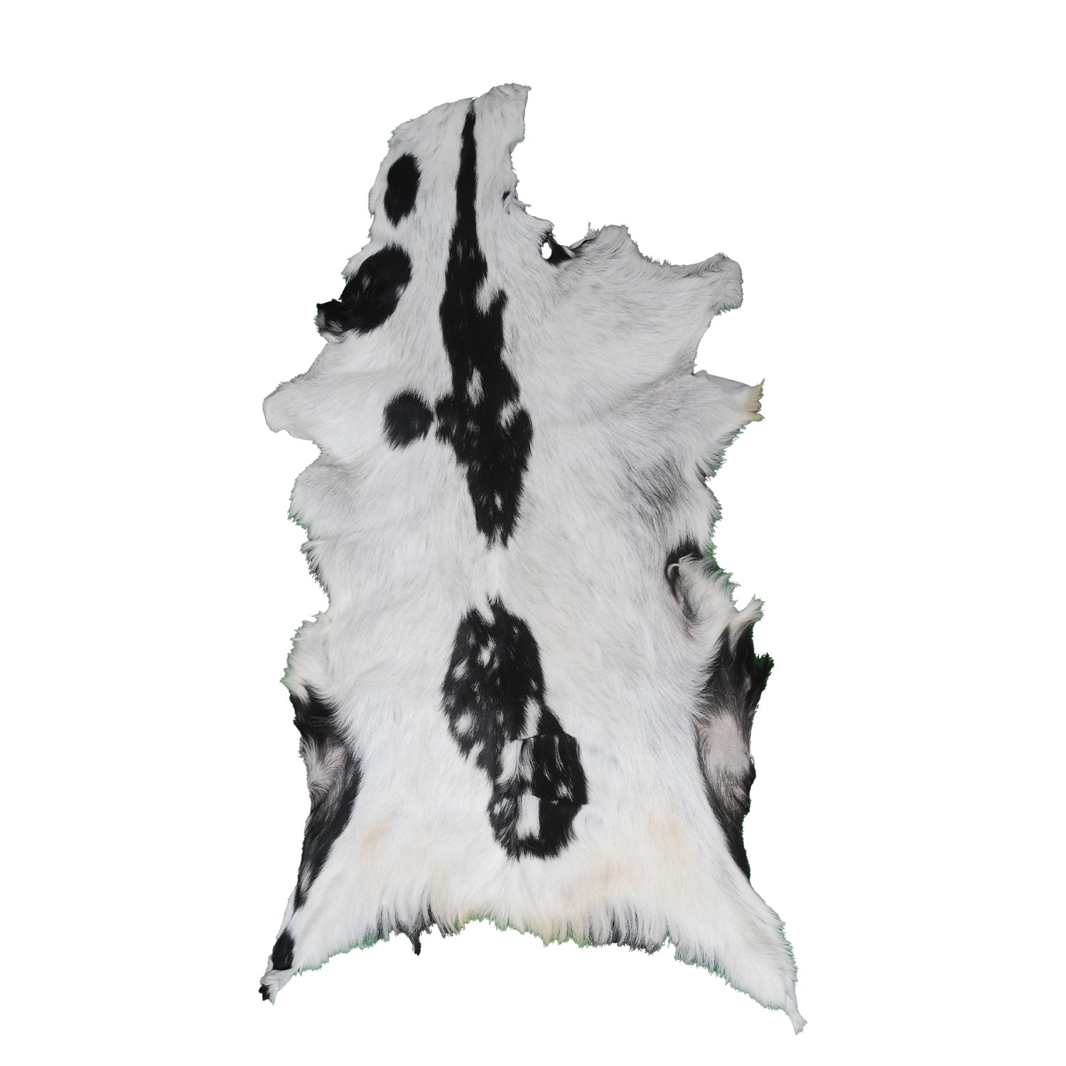 Goat Skin Rug, Handpicked for Quality, Unique Piece for Sale, Fast UK Delivery