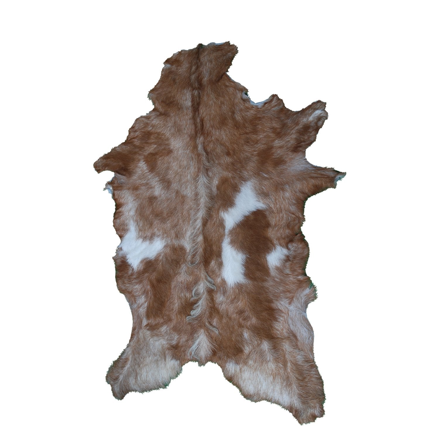 Luxurious Brown and White Natural Goat Skin Rug with Non-Slip Suede Back - Handcrafted Premium Hair-On Goat Hide Rug for Home Decor - Celestial Leather Limited
