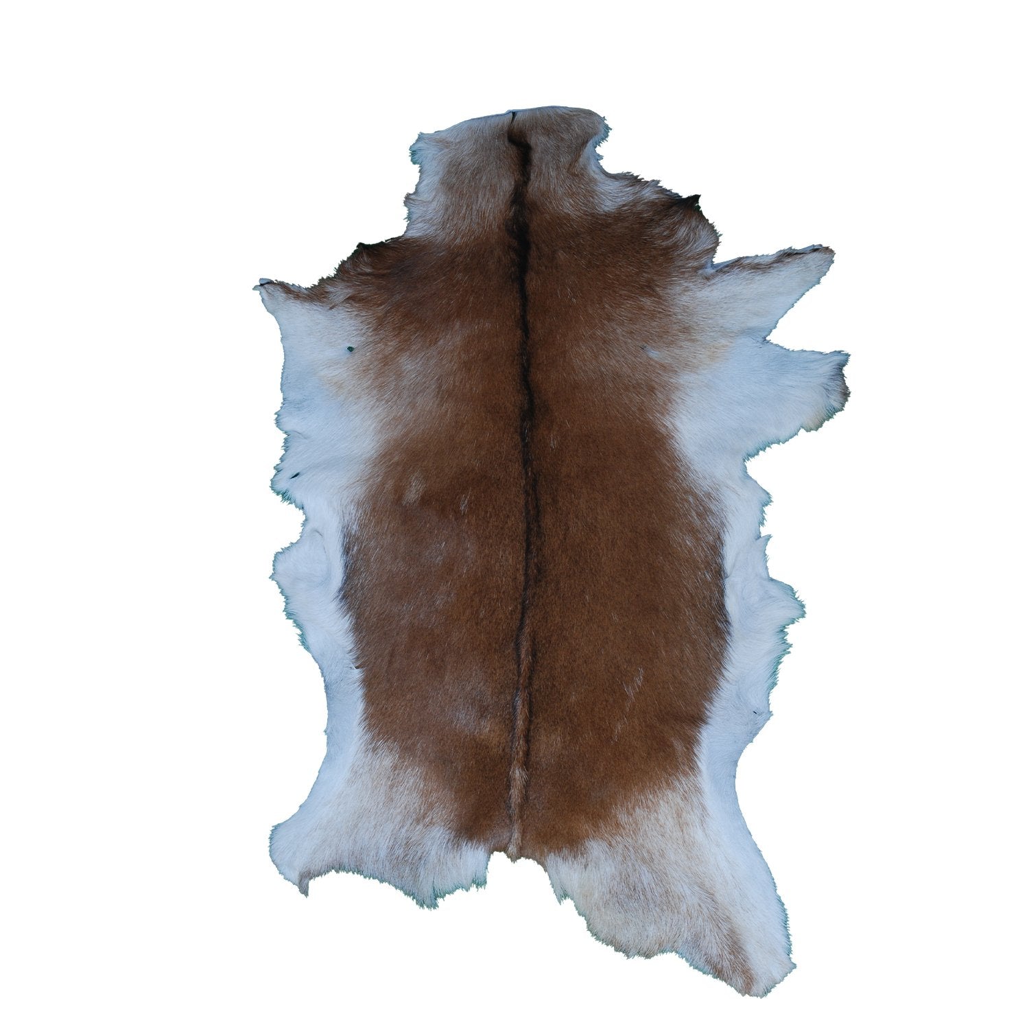 Luxurious Dark Brown & White Goat Skin Rug - Handmade Eco-Friendly Natural Goat Skin Floor Rug with Unique Colour Variations & Soft Texture